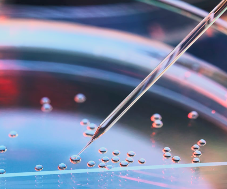 Stem Cells: A New Era of Healing and the Ethics That Shape It